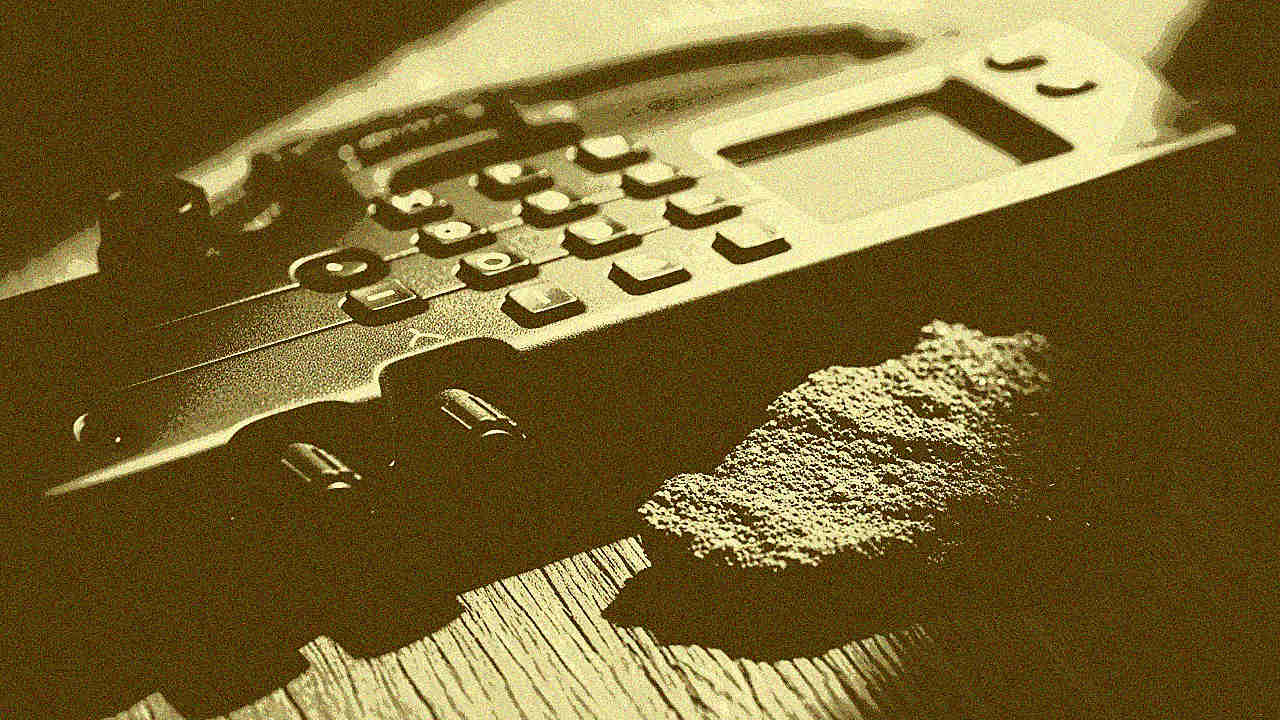 Cycle du carbone : mécanisme, perturbations et lien avec le bilan carbone