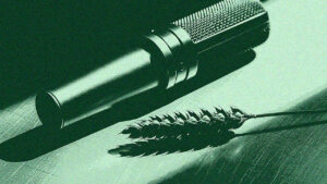 DDM (date de durabilité minimale) : définition, obligations et bonnes pratiques