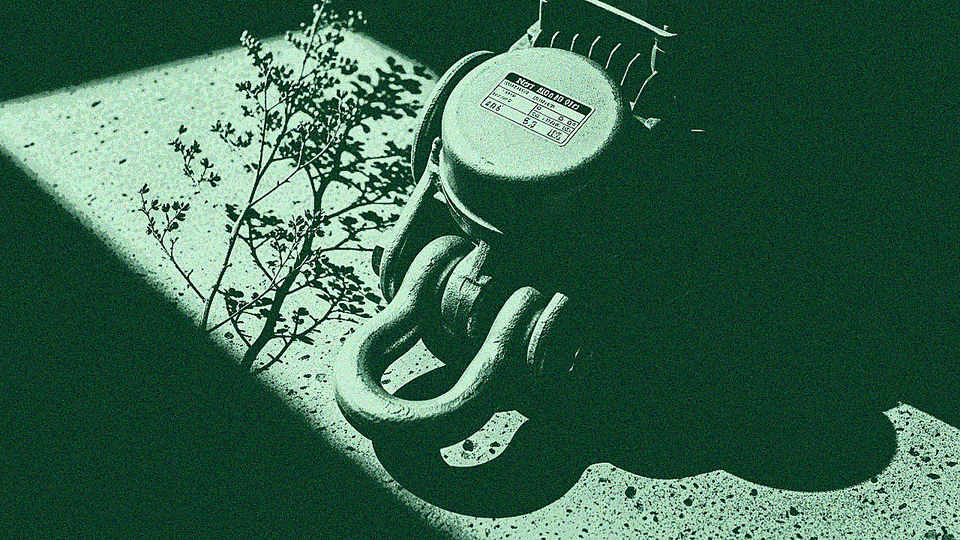 Eutrophisation : définition, causes et enjeux pour les entreprises