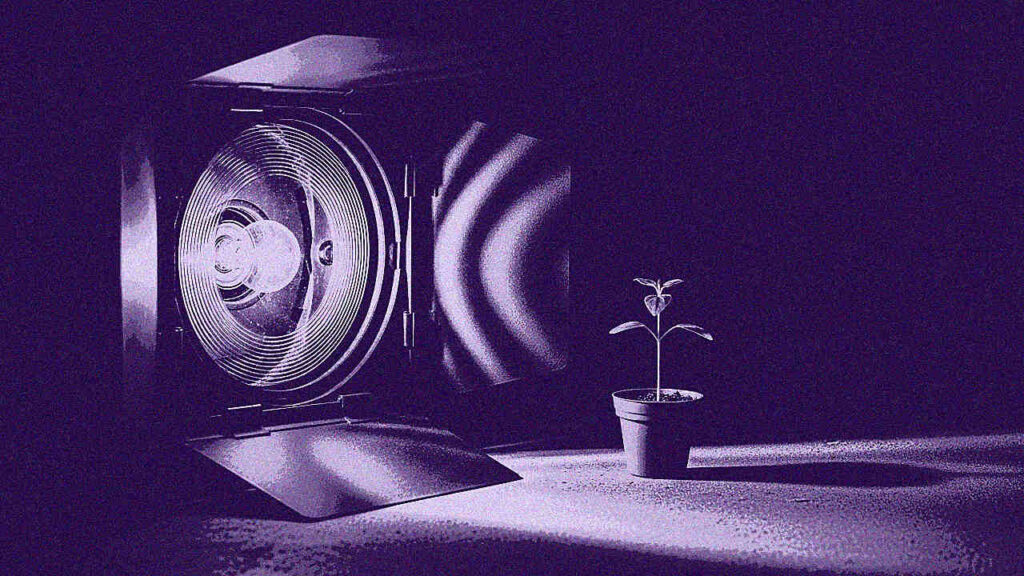 Finalité environnementale : définition et enjeux