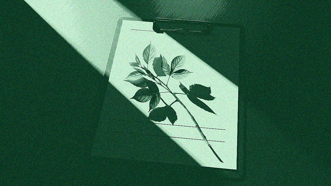 Rapport RSE 2026 : guide complet